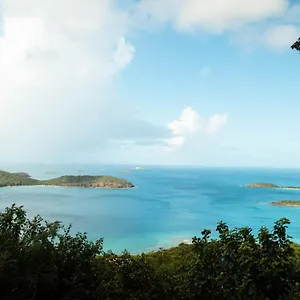 Aleli Puerto Rico